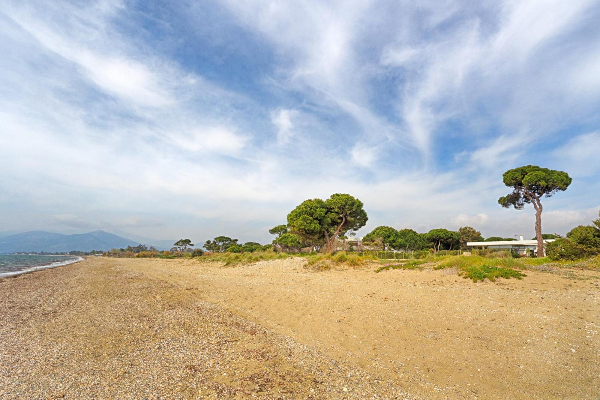 Beachfront Villa Hoopoe Schinias, Marathon Kültér fotó