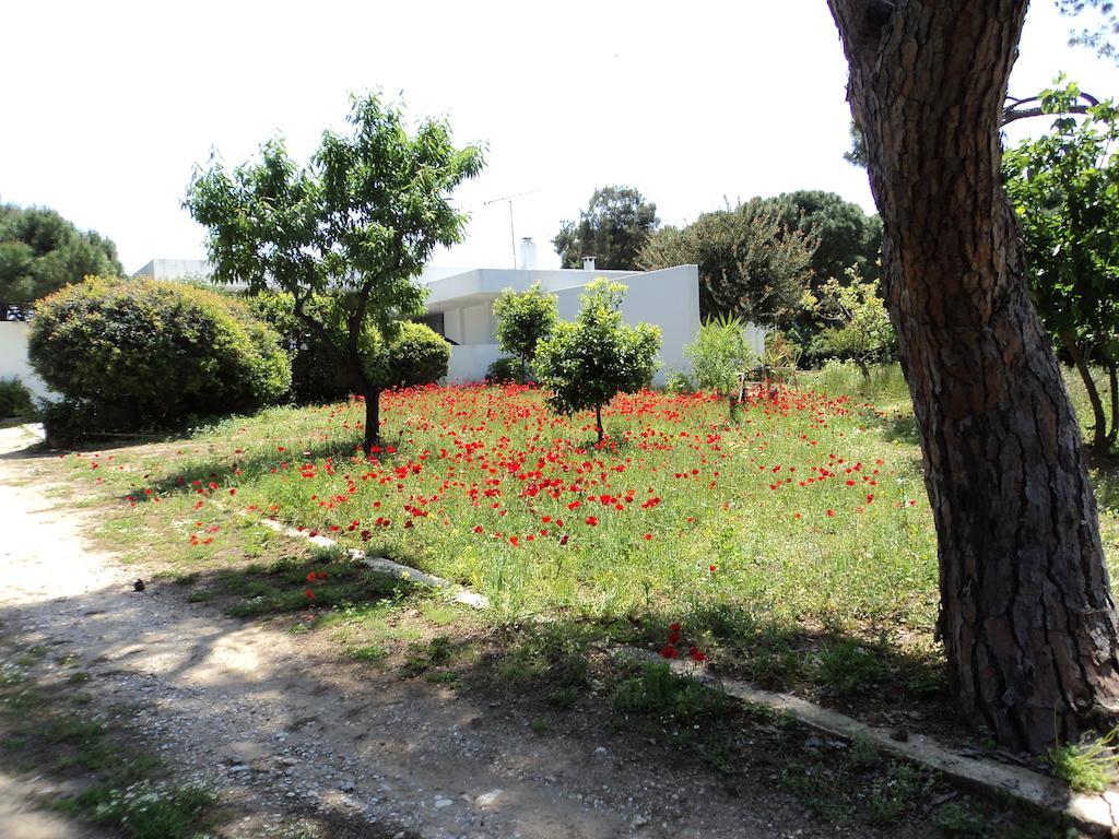 Beachfront Villa Hoopoe Schinias, Marathon Szoba fotó